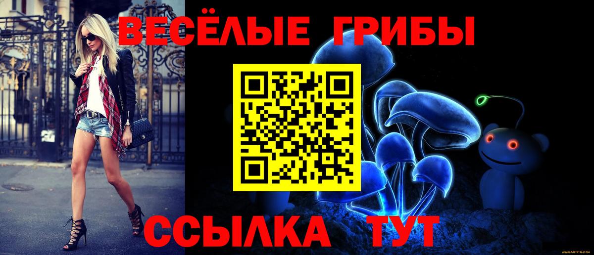 Галлюциногенные грибы Cubensis Бугуруслан