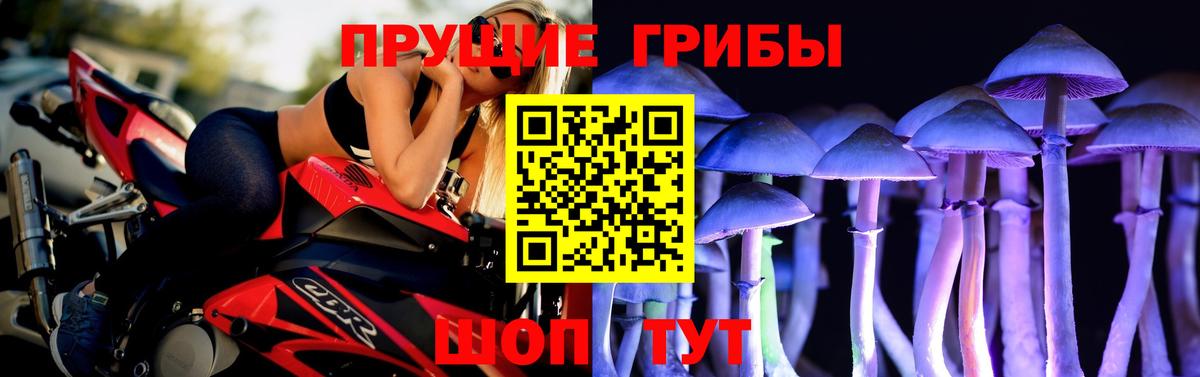 Галлюциногенные грибы Cubensis  Вход с VPN  Бугуруслан 